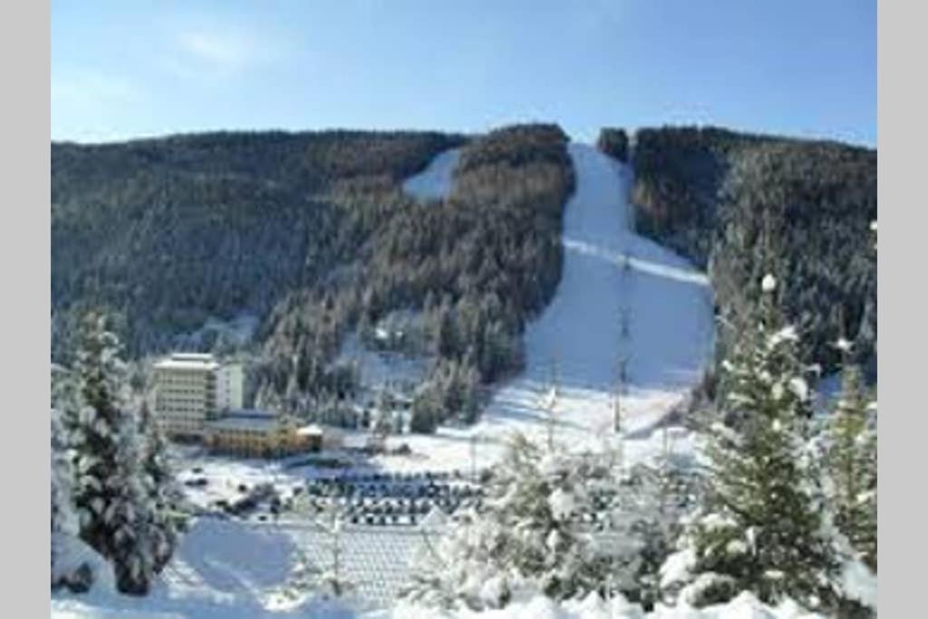 Alloggio Vacanze In Montagna Per Coppia Folgaria Exterior photo